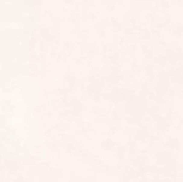 Concrete bone 120x120